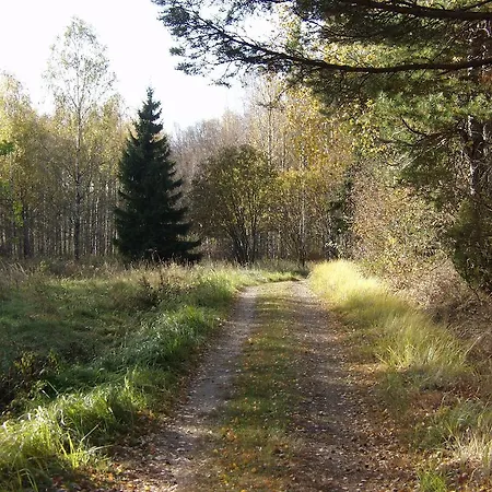 & Cafe Lanterna ナウヴォ