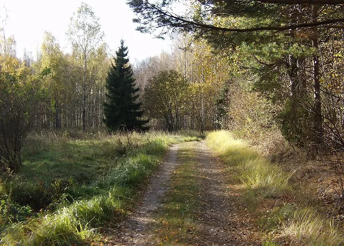 Hotel&cafe Lanterna Nagu